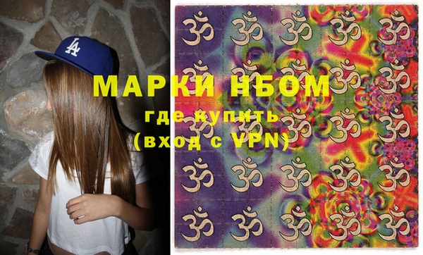 прущие грибы Баксан