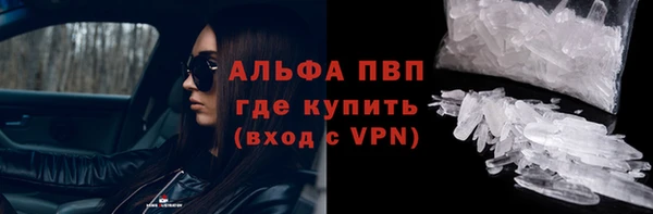 прущие грибы Баксан