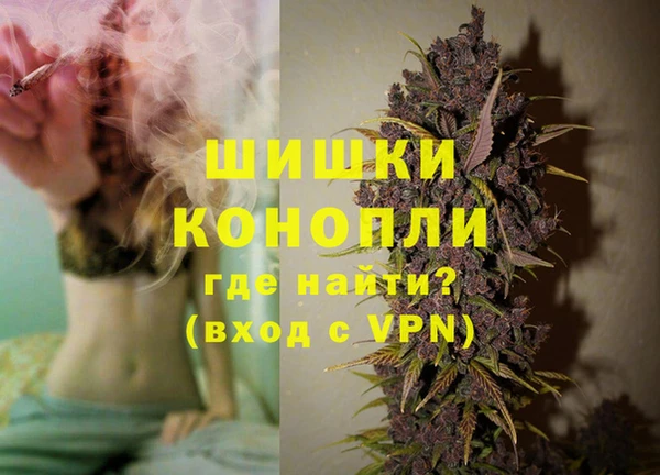 прущие грибы Баксан