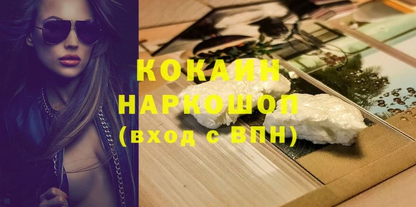 прущие грибы Баксан