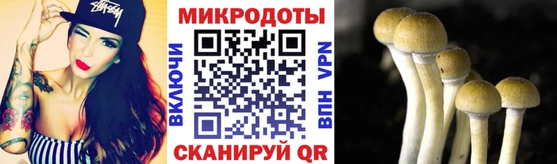 где можно купить   гидра ССЫЛКА  Галлюциногенные грибы прущие грибы  Злынка 